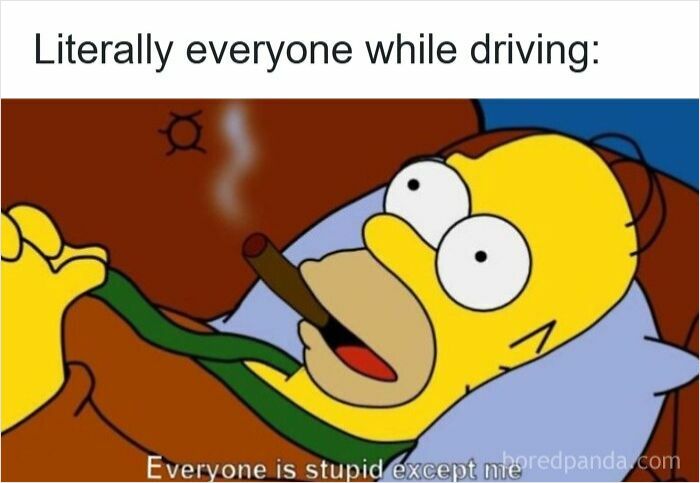 Cartoon character smoking a cigar in bed with caption about everyone being stupid while driving, illustrating driving memes.