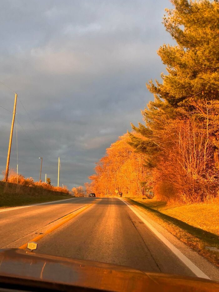 Road view with bright autumn leaf colors and fall foliage glowing in golden sunset light under cloudy sky.