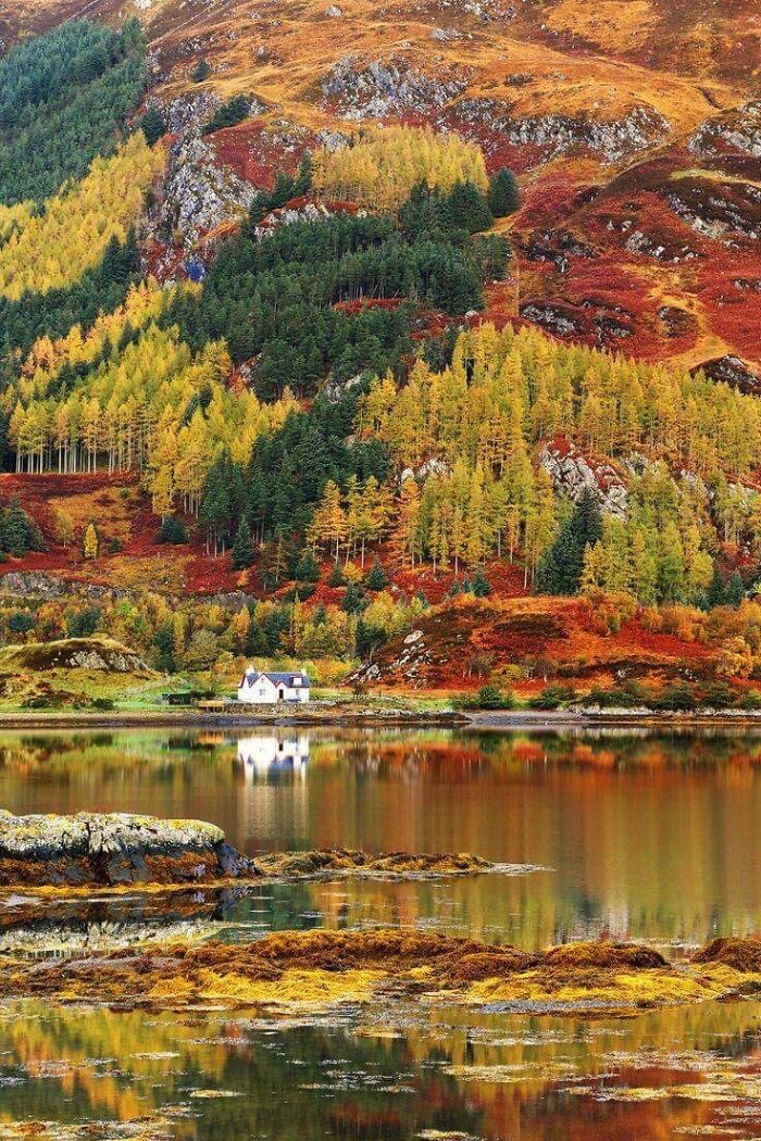 Autumn leaf colors and fall foliage in a forested hillside reflected in calm lake water near a small white house.