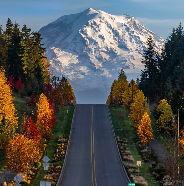 Road lined with autumn leaf colors and fall foliage leading to a snow-covered mountain under clear blue sky.