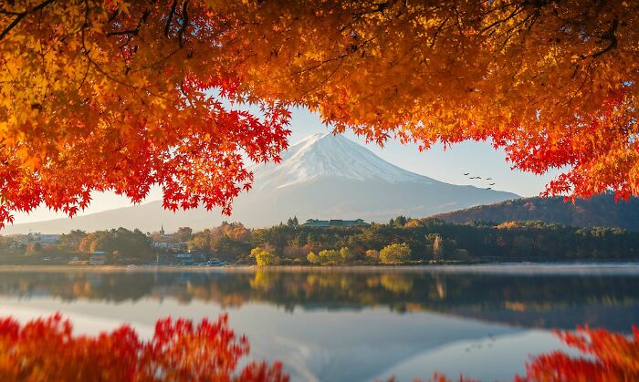 Vibrant autumn leaf colors framing a serene lake with fall foliage and a snow-capped mountain in the background.