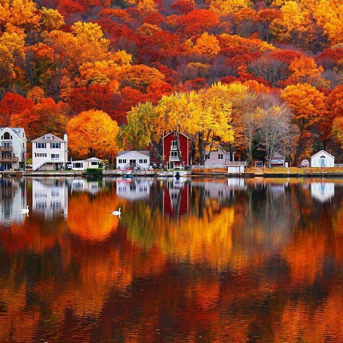 Autumn leaf colors and fall foliage reflecting on a calm lake with houses and vibrant trees in the background.