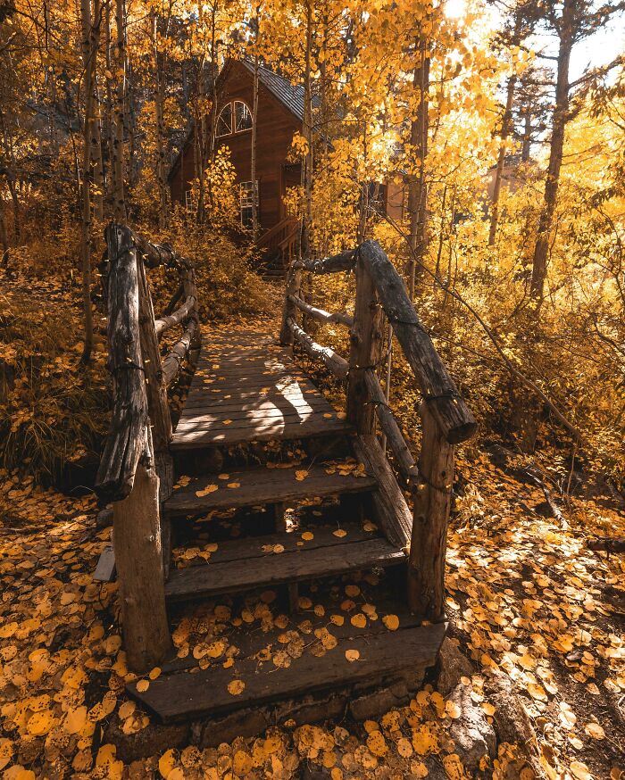 Rustic wooden bridge surrounded by vibrant autumn leaf colors and fall foliage in a forest setting.