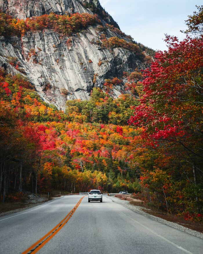 Car driving through vibrant autumn leaf colors and fall foliage with a rocky mountain backdrop on a clear day.