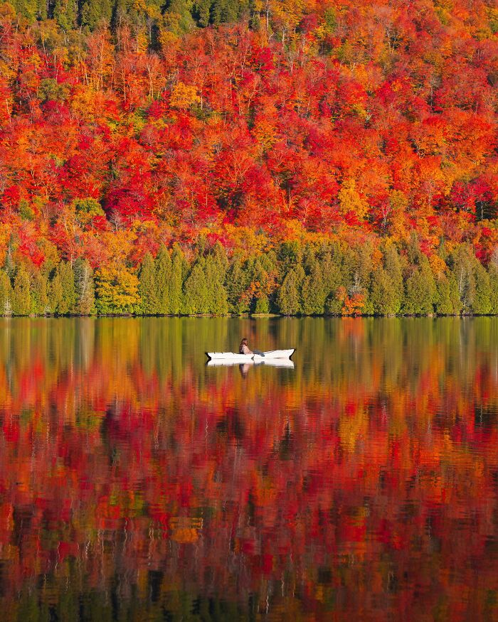Person kayaking on a lake reflecting vibrant autumn leaf colors and fall foliage in a forested area.