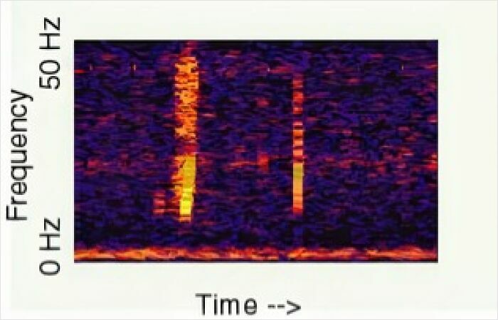 Spectrogram showing strange frequency patterns over time related to weird and suspicious things in the ocean.