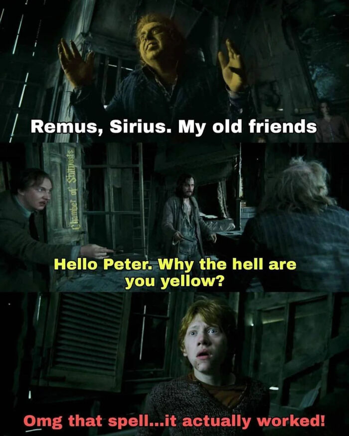 Harry Potter meme featuring Sirius, Remus, and Peter Pettigrew with humorous dialogue from the wizarding world.