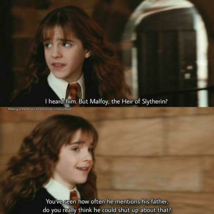 Scene from Harry Potter meme featuring Hermione discussing Malfoy as the Heir of Slytherin with humorous captions.