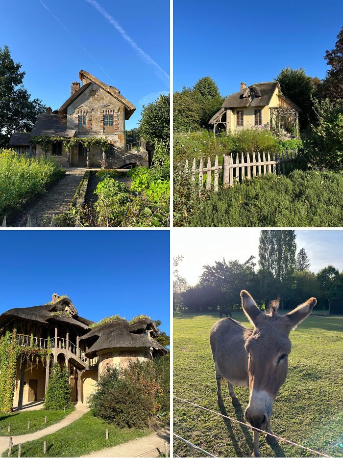Collage of charming cottages and a donkey in lush gardens showcasing cottage core aesthetics in natural sunlight.