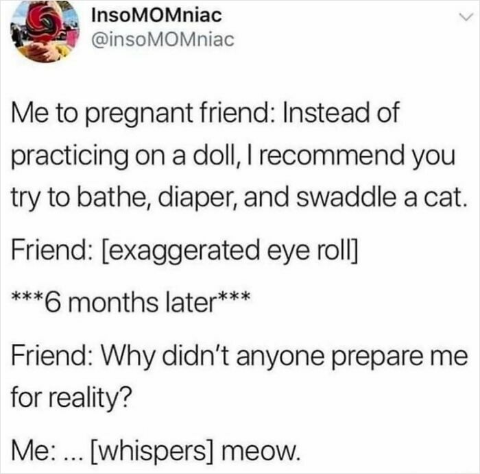 Tweet joking about the challenges of preparing for parenthood by practicing with a cat, featured in really dumb tweets.