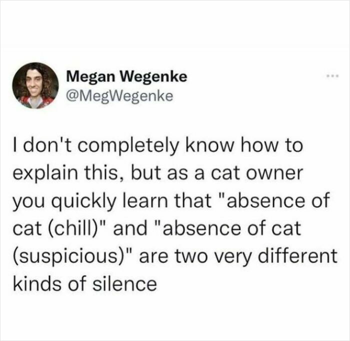 Tweet about the difference between absence of cat chill and suspicious silence in really dumb tweets to make you laugh.