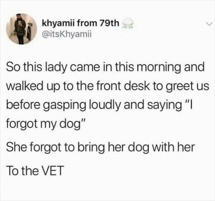 Screenshot of a really dumb tweet about a lady forgetting her dog at the vet, highlighting funny and dumb tweets.