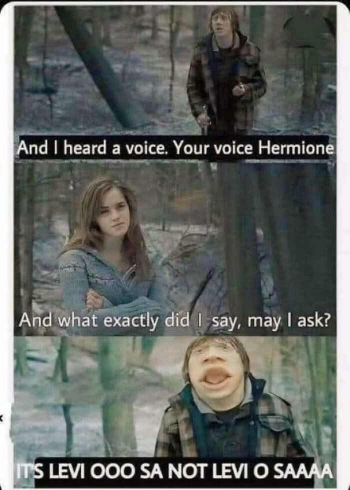 Harry Potter meme featuring Ron and Hermione with distorted text for a funny Gryffindor common room moment.