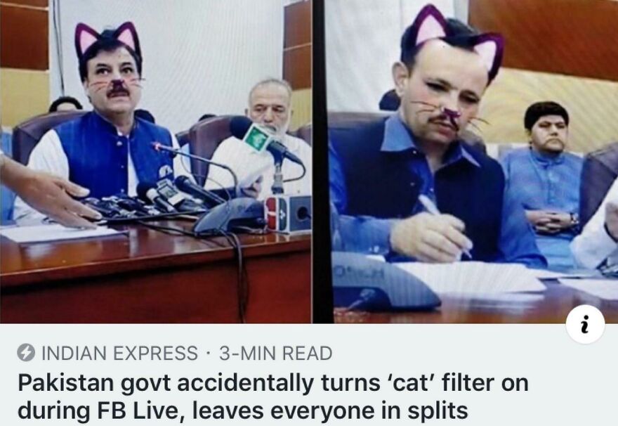 Pakistani officials using cat filter on video call, showing moments people knew exactly what they were doing and still went for it