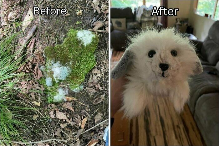 Before and after cleaning photos showing a dirty mossy ground transformed into a clean, fluffy stuffed dog toy.