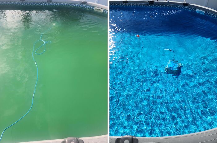 Before and after cleaning photos showing a pool transformed from murky green water to clear, sparkling blue water.