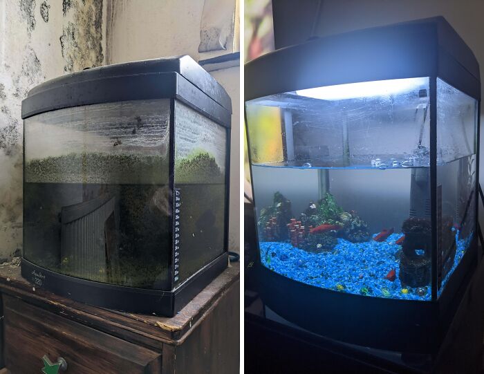 Before and after cleaning photos showing a dirty fish tank transformed into a clear and vibrant aquarium with colorful gravel.