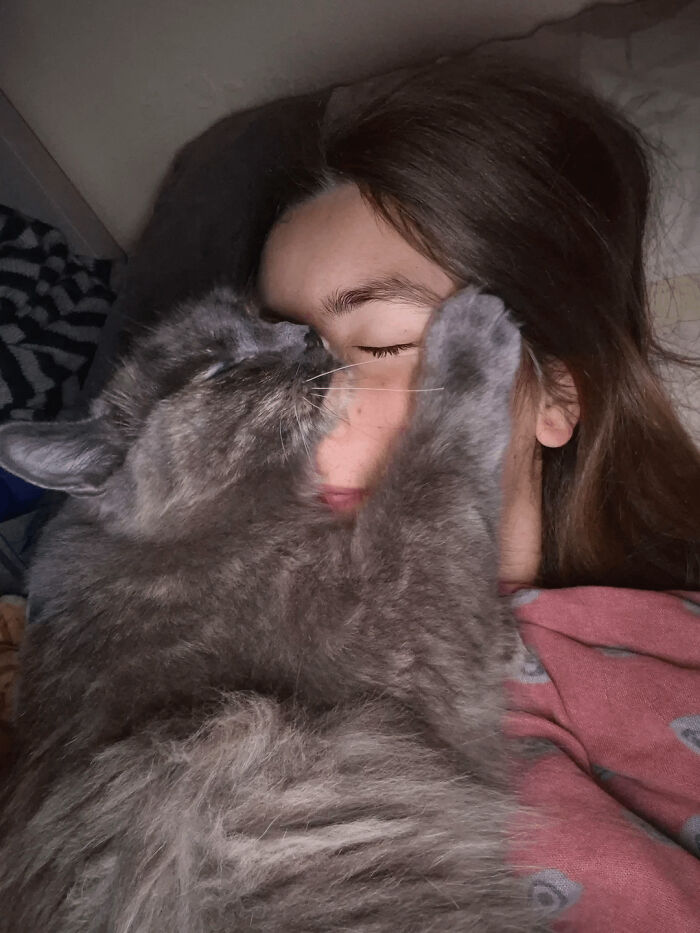 Gray cat enjoying a nap while cuddling closely with a person, showing a sweet moment of animals enjoying a nap.
