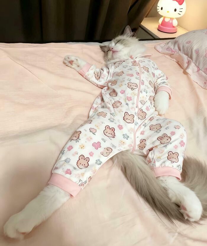 Cat wearing pajamas and looking purely happy while lying relaxed on a pink bedspread in a cozy bedroom.
