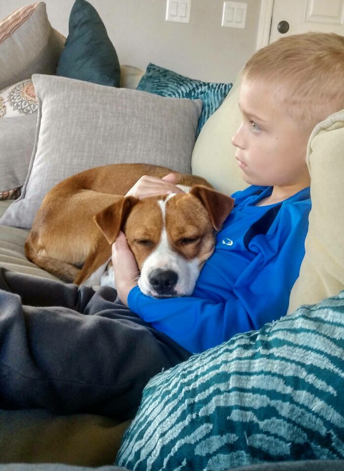 Young boy sitting on couch with dog enjoying a nap resting its head on his arm comfortably indoors.