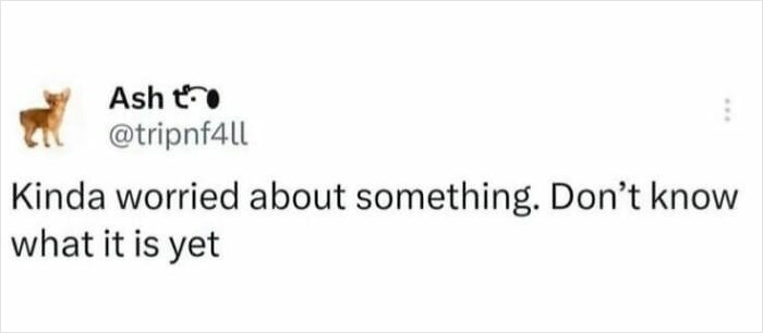 Tweet text saying kind of worried about something but not knowing what it is, featured in funny and relatable memes.