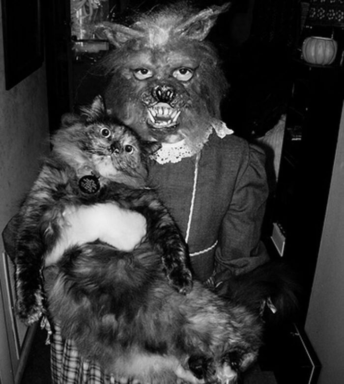 Person in a terrifying Halloween costume holding a large cat, showcasing impressive vintage Halloween costume design.