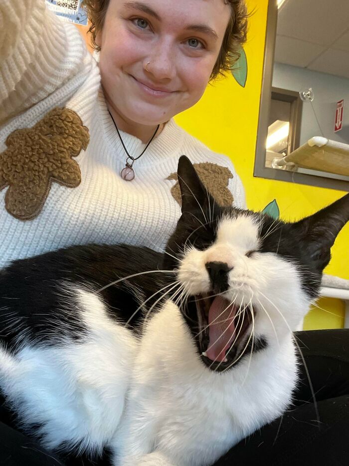 Person smiling with a yawning black and white cat on their lap in a colorful room, showcasing adopted pets warmth.