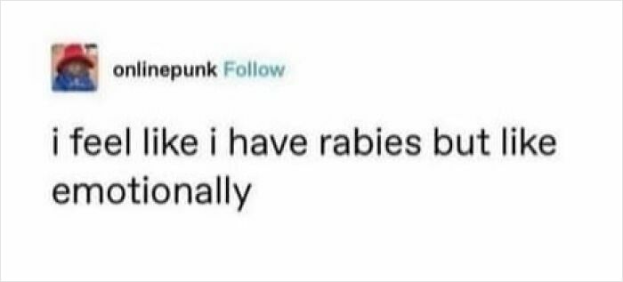 Text meme from the Memes To Discuss In Therapy page saying I feel like I have rabies but like emotionally.