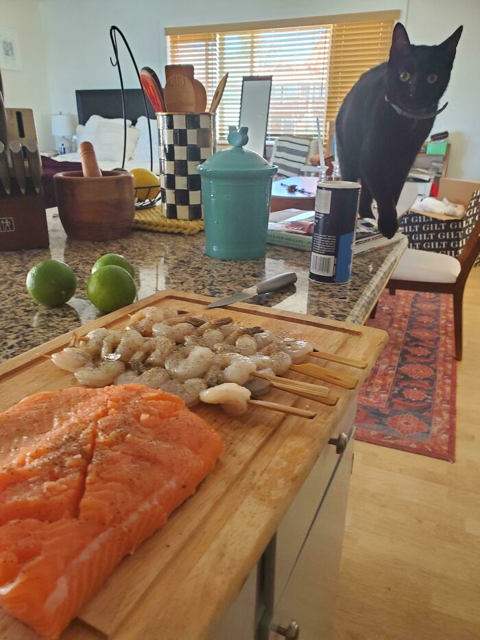 Black cat on kitchen counter near fish and shrimp ready to cook, a hilarious photo before disaster struck with food.