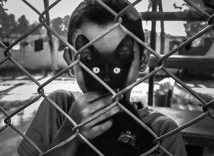 Black cat with bright eyes held behind a chain-link fence by a child in a black and white street photo.
