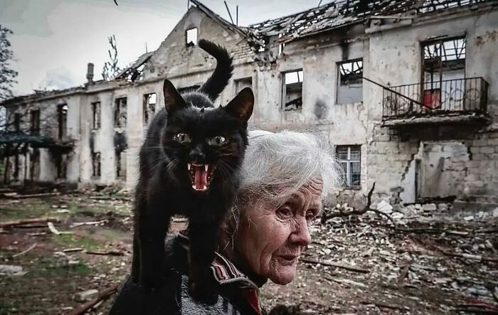 Black cat hissing on an elderly woman's shoulder in a street scene with ruined buildings in the background.