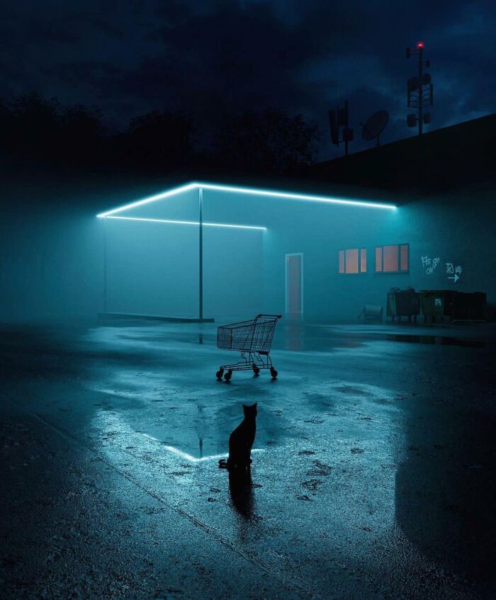 Black cat sitting on wet street at night near a glowing neon-lit building and an abandoned shopping cart.