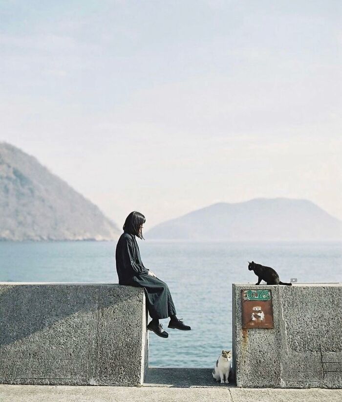 Person dressed in black sitting on a concrete wall near the sea with two black cats in a captivating street photo scene.