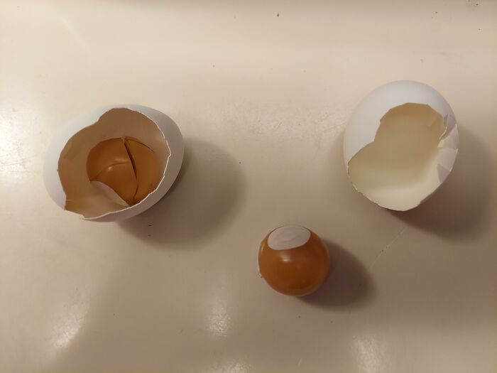Broken eggshells with a unique round inner membrane ball, illustrating interesting pics answering unexpected questions.