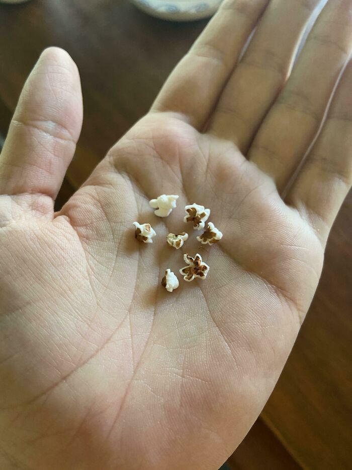 Close-up of a hand holding tiny popcorn pieces, illustrating interesting pics that answer questions visually.