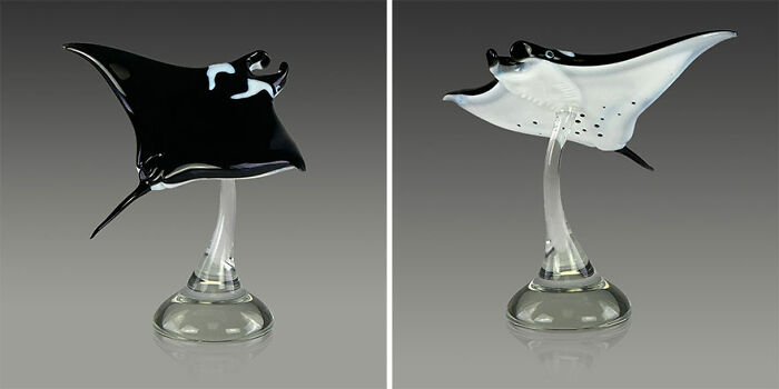 Glass sculptures of manta rays showcasing stunning ocean life details by a skilled artist in clear and black glass.
