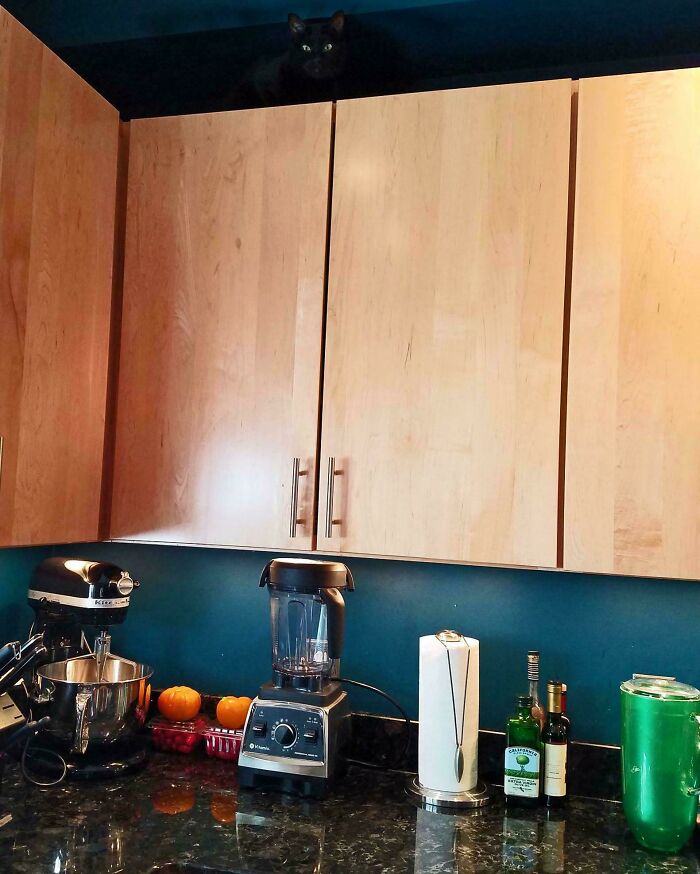 Black cat camouflaged atop wooden kitchen cabinets blending with dark shadows in a cozy kitchen setting.