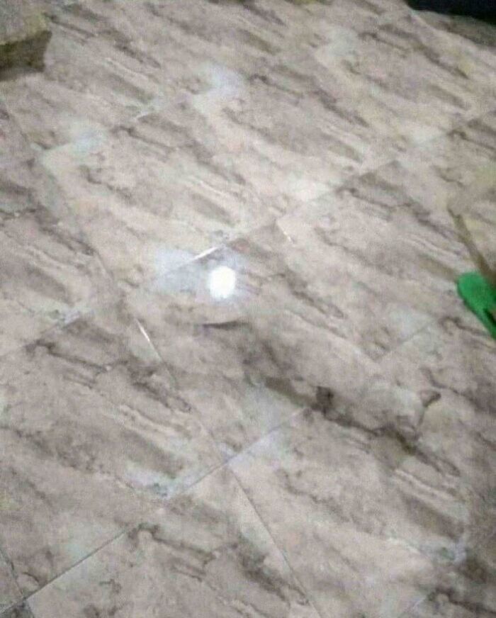 Cat camouflaged perfectly on a tiled floor blending in with the pattern, showcasing cute camouflaged cats that are hard to spot.