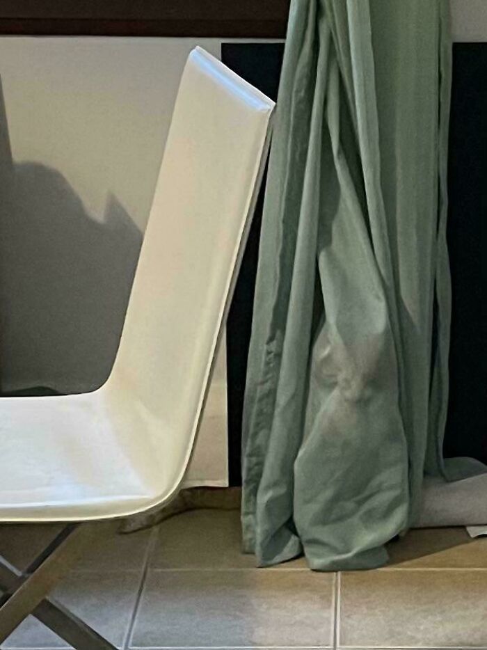 Cat camouflaged against green curtain next to a white chair blending into the home interior background.