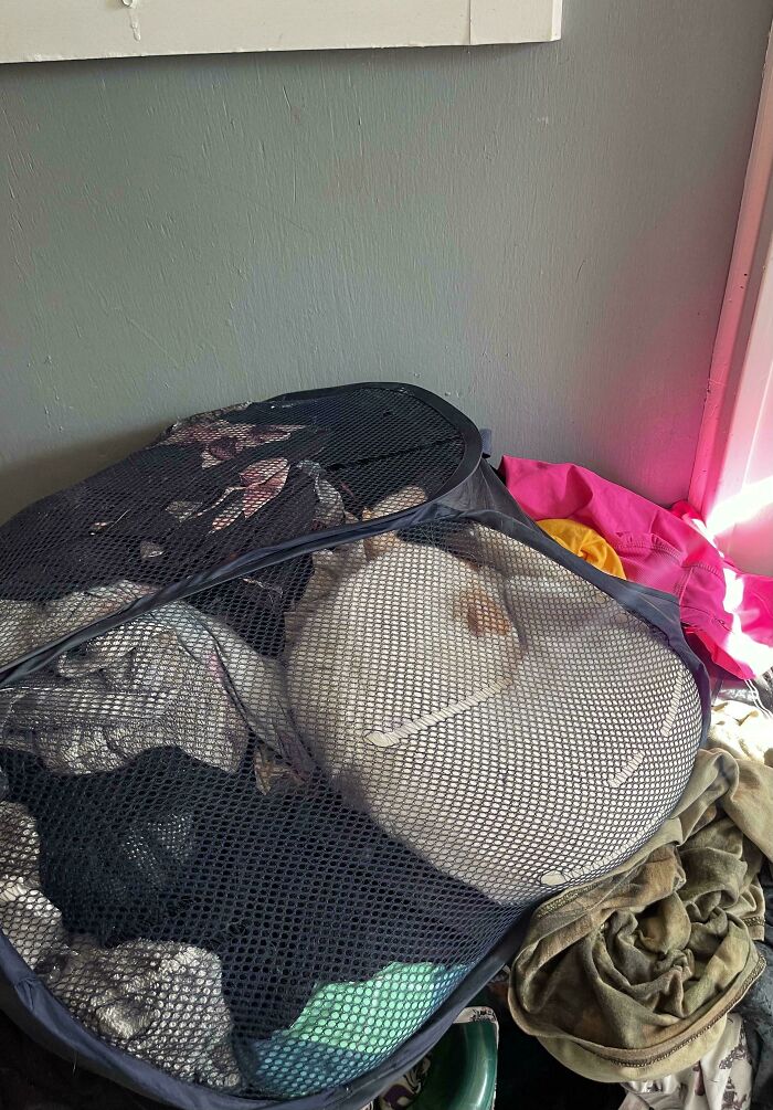 White cat camouflaged among dark clothes inside a black mesh laundry basket in a cluttered room.