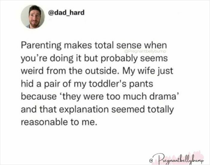 Parenting meme about toddler's pants hidden due to drama, highlighting the chaos and love in parenting life.