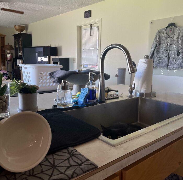 Black cat purrfectly camouflaged inside a kitchen sink surrounded by household items and plants on the counter.