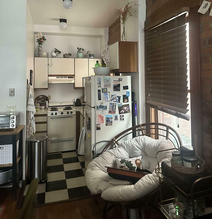 Cozy kitchen and living space with a hidden cat blending perfectly into the background, showcasing camouflaged cats at home.