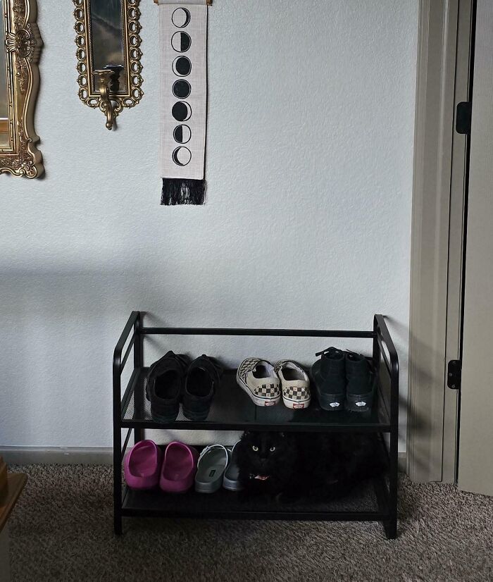 Black cat camouflaged on a shoe rack blending with dark shoes in a cozy home setting.