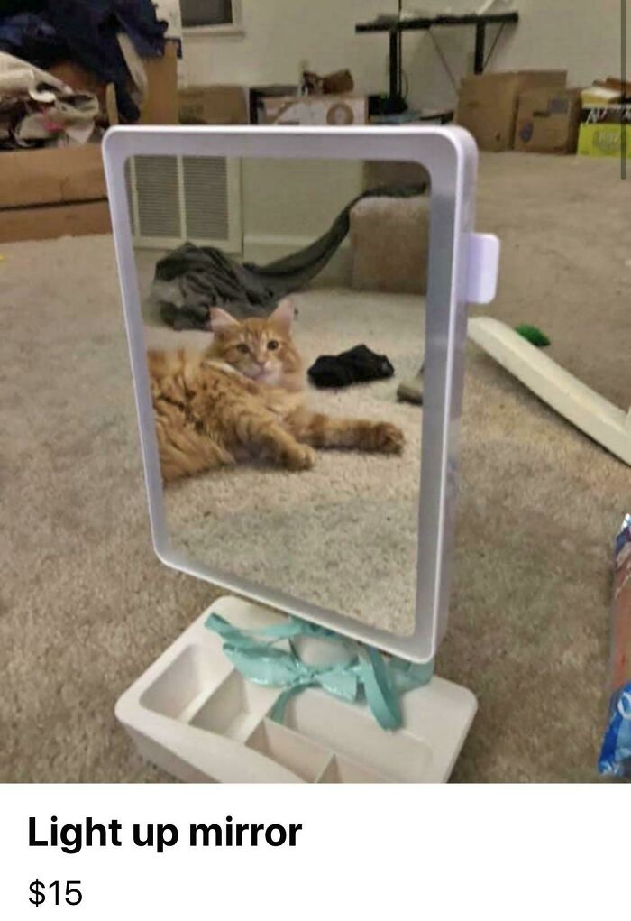Light up mirror showing the reflection of a ginger cat lying on a carpet in a cluttered room for sale.