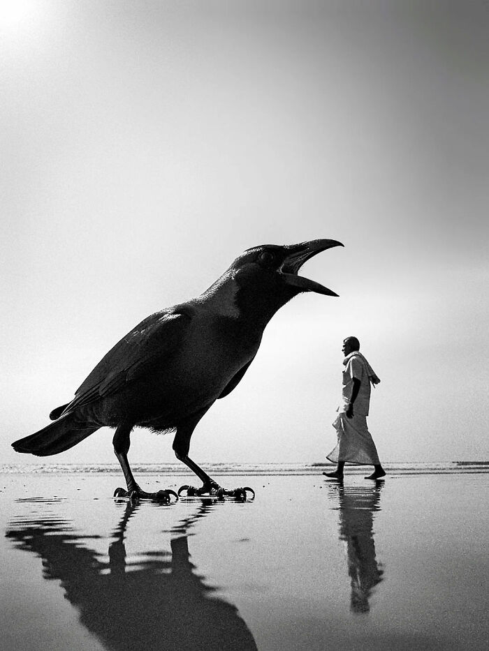 Black and white street photograph in India featuring a large crow and a man walking on reflective wet ground at the beach.