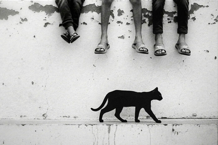 Black cat walking on street wall below three people sitting, capturing everyday life in India by a street photographer.
