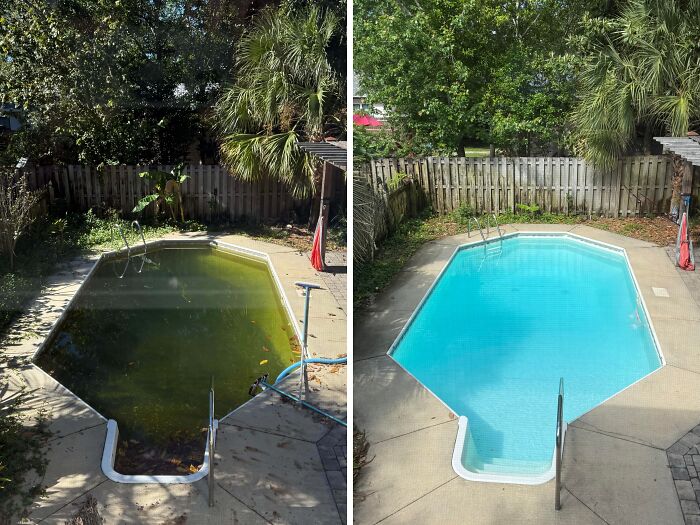 Before and after cleaning photo showing a backyard pool transformed from dirty green to clear blue water.