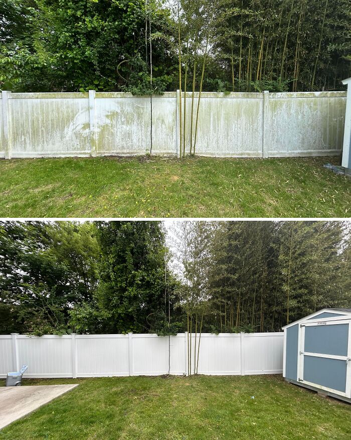 Before and after cleaning photos showing a white fence transformed from dirty to spotless in a backyard setting.
