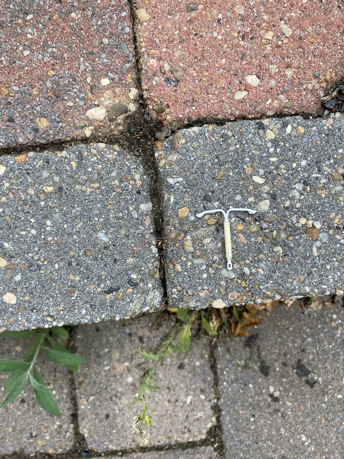 Tiny IUD contraceptive device placed on outdoor paving stones, representing some things just cannot be explained.
